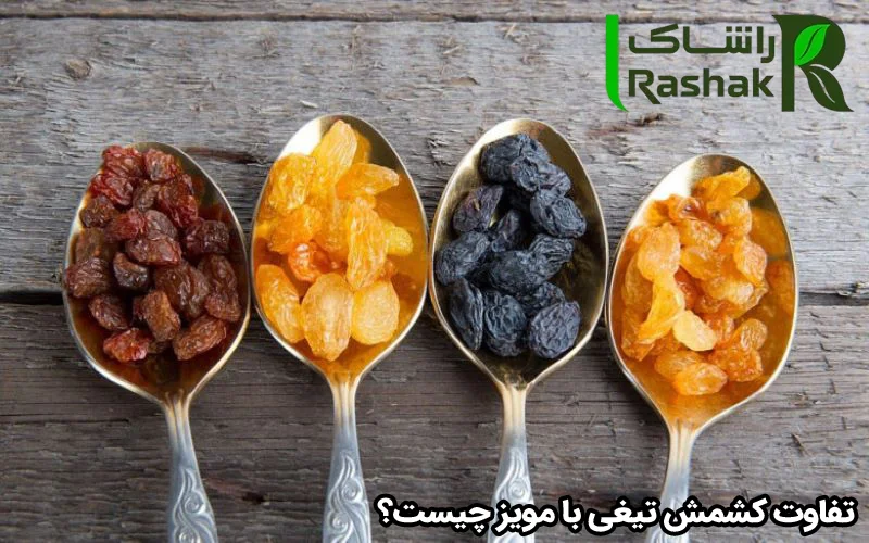 تفاوت کشمش تیغی با مویز چیست؟