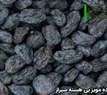 خرید عمده مویز بی‌ هسته شیراز