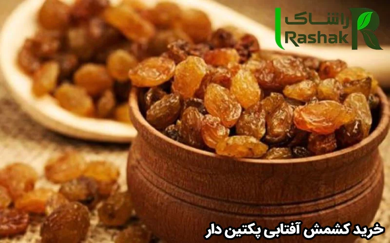 خرید کشمش آفتابی پکتین دار