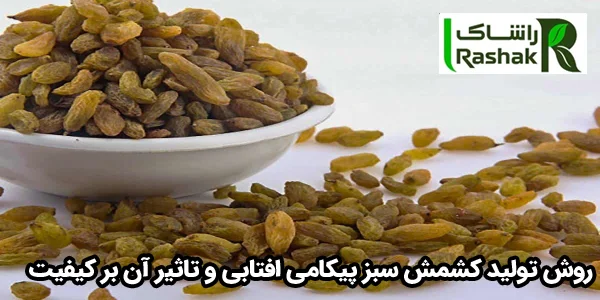 روش توليد کشمش سبز پیکامی افتابی و تاثير آن بر کيفيت روش توليد کشمش سبز پیکامی افتابی و تاثير آن بر کيفيت