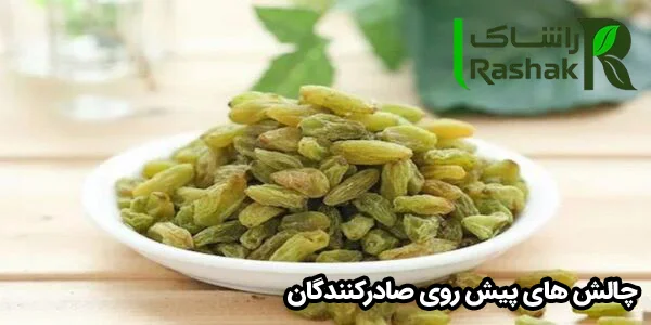 چالش های پیش روی صادرکنندگان چالش های پیش روی صادرکنندگان