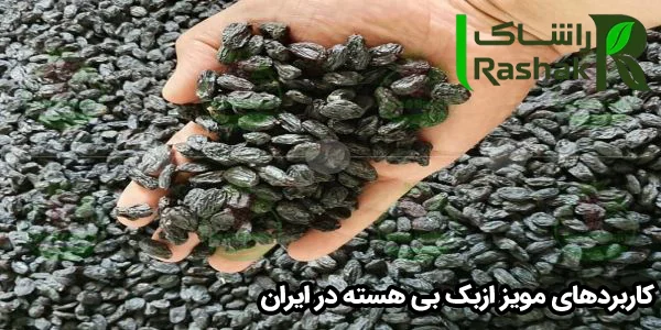 کاربردهای مویز ازبک بی هسته در ایران کاربردهای مویز ازبک بی هسته در ایران