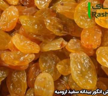 قیمت کشمش انگور بیدانه سفید ارومیه