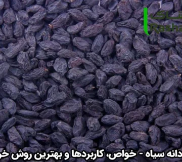 مویز بی‌ دانه سیاه - خواص، کاربردها و بهترین روش خرید
