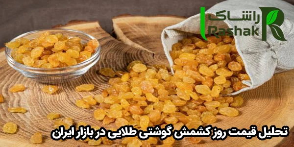 تحلیل قیمت روز کشمش گوشتی طلایی در بازار ایران
