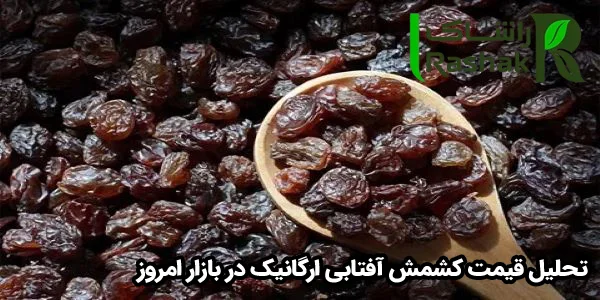 تحلیل قیمت کشمش آفتابی ارگانیک در بازار امروز تحلیل قیمت کشمش آفتابی ارگانیک در بازار امروز