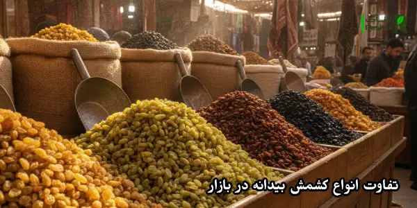تفاوت انواع کشمش بیدانه در بازار تفاوت انواع کشمش بیدانه در بازار