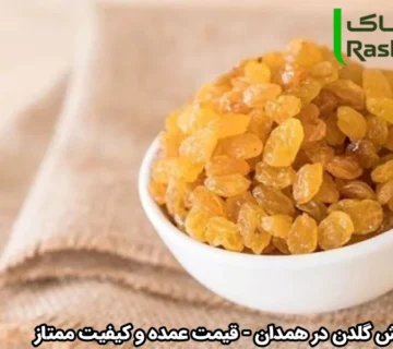 خرید کشمش گلدن در همدان - قیمت عمده و کیفیت ممتاز