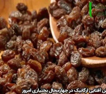 قیمت کشمش آفتابی ارگانیک در چهارمحال بختیاری امروز