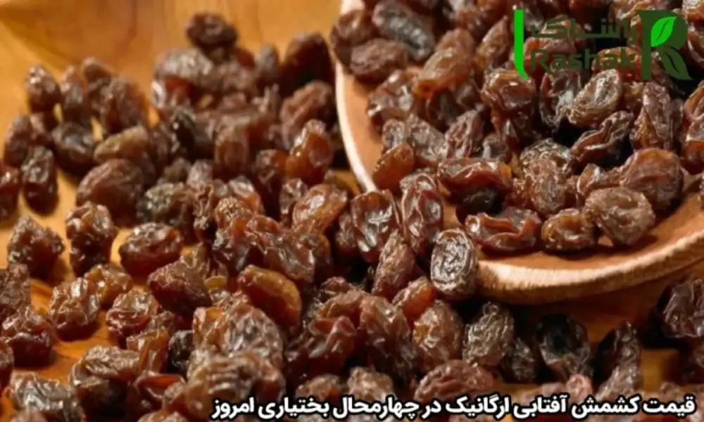 قیمت کشمش آفتابی ارگانیک در چهارمحال بختیاری امروز
