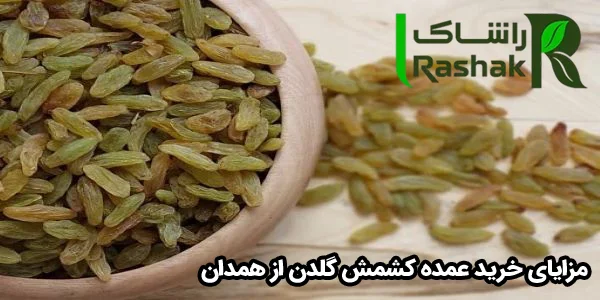 مزایای خرید عمده کشمش گلدن از همدان مزایای خرید عمده کشمش گلدن از همدان