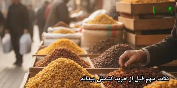 نکات مهم قبل از خرید کشمش بیدانه نکات مهم قبل از خرید کشمش بیدانه