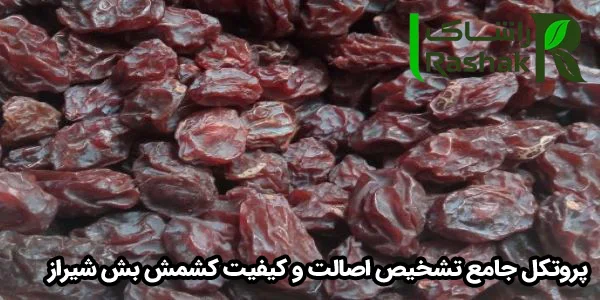 پروتکل جامع تشخیص اصالت و کیفیت کشمش بش شیراز پروتکل جامع تشخیص اصالت و کیفیت کشمش بش شیراز