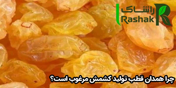 چرا همدان قطب تولید کشمش مرغوب است؟ چرا همدان قطب تولید کشمش مرغوب است؟