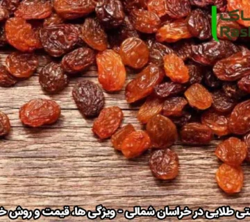 کشمش گوشتی طلایی در خراسان شمالی - ویژگی ‌ها، قیمت و روش خرید