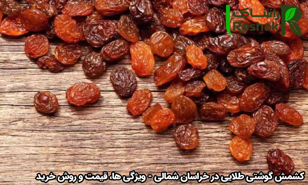 کشمش گوشتی طلایی در خراسان شمالی - ویژگی ‌ها، قیمت و روش خرید