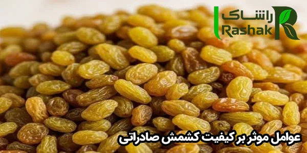 عوامل موثر بر کیفیت کشمش صادراتی عوامل موثر بر کیفیت کشمش صادراتی