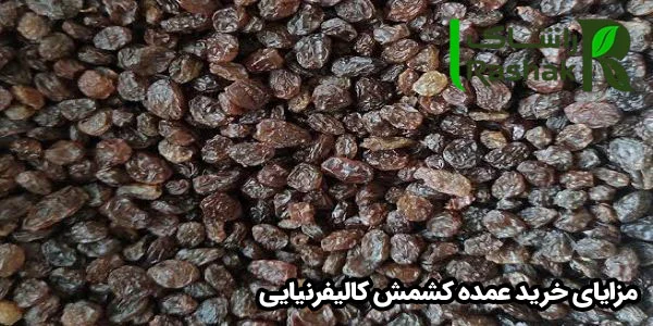 مزایای خرید عمده کشمش کالیفرنیایی مزایای خرید عمده کشمش کالیفرنیایی