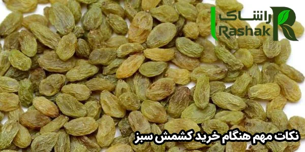 نکات مهم هنگام خرید کشمش سبز نکات مهم هنگام خرید کشمش سبز