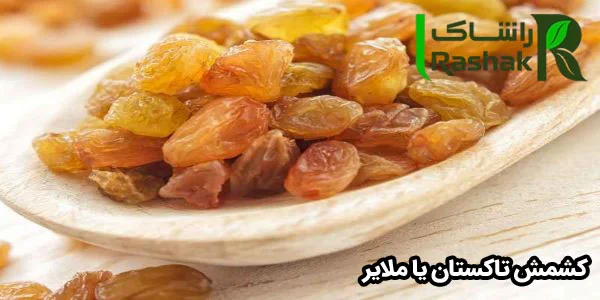 کشمش تاکستان یا ملایرکشمش تاکستان یا ملایر کشمش تاکستان یا ملایر