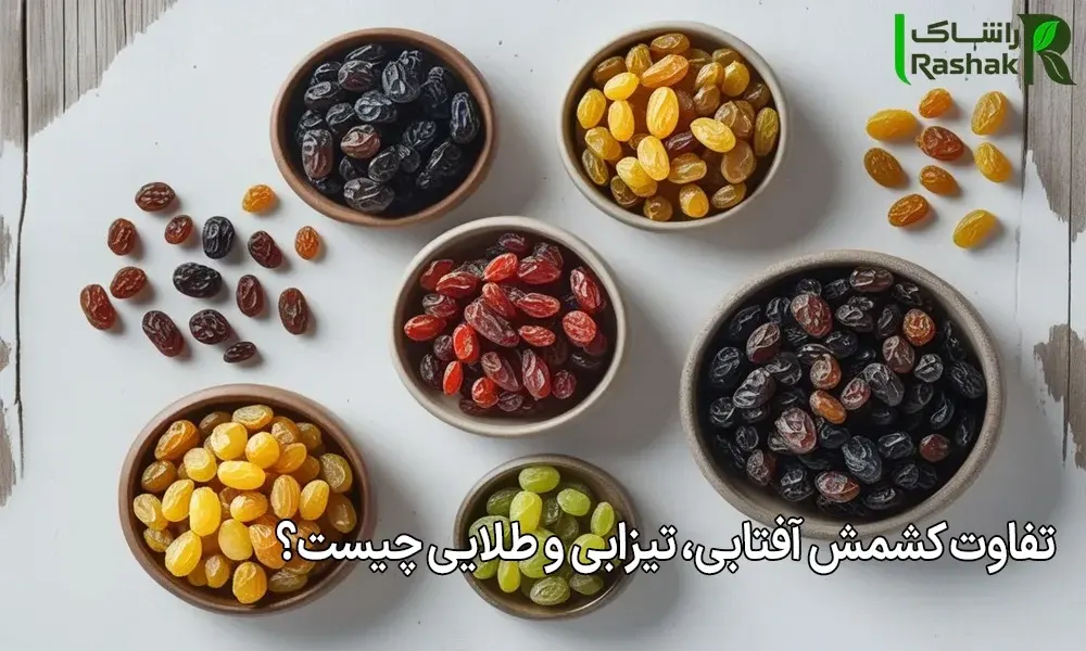 تفاوت کشمش آفتابی، تیزابی و طلایی چیست؟