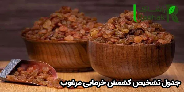 جدول تشخیص کشمش خرمایی مرغوب جدول تشخیص کشمش خرمایی مرغوب