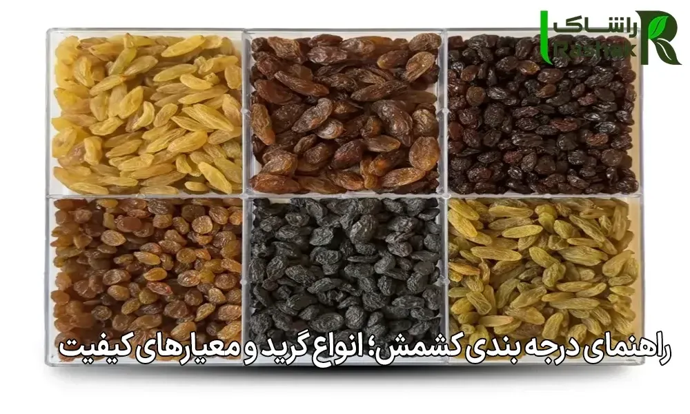 راهنمای درجه بندی کشمش؛ انواع گرید و معیارهای کیفیت