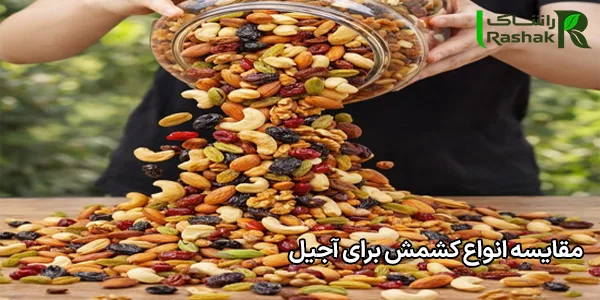 مقایسه انواع کشمش برای آجیل مقایسه انواع کشمش برای آجیل