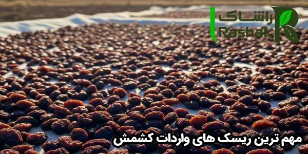 مهم ترین ریسک های واردات کشمش مهم ترین ریسک های واردات کشمش