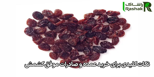 نکات کلیدی برای خرید عمده و صادرات موفق کشمش نکات کلیدی برای خرید عمده و صادرات موفق کشمش