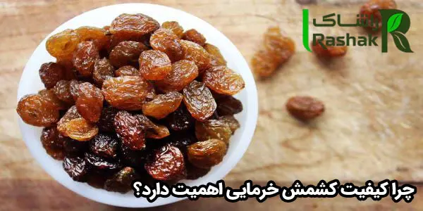 ۵ نکته طلایی برای تشخیص و خرید کشمش خرمایی مرغوب