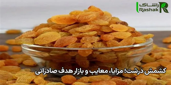 کشمش درشت؛ مزایا، معایب و بازار هدف صادراتی کشمش درشت؛ مزایا، معایب و بازار هدف صادراتی